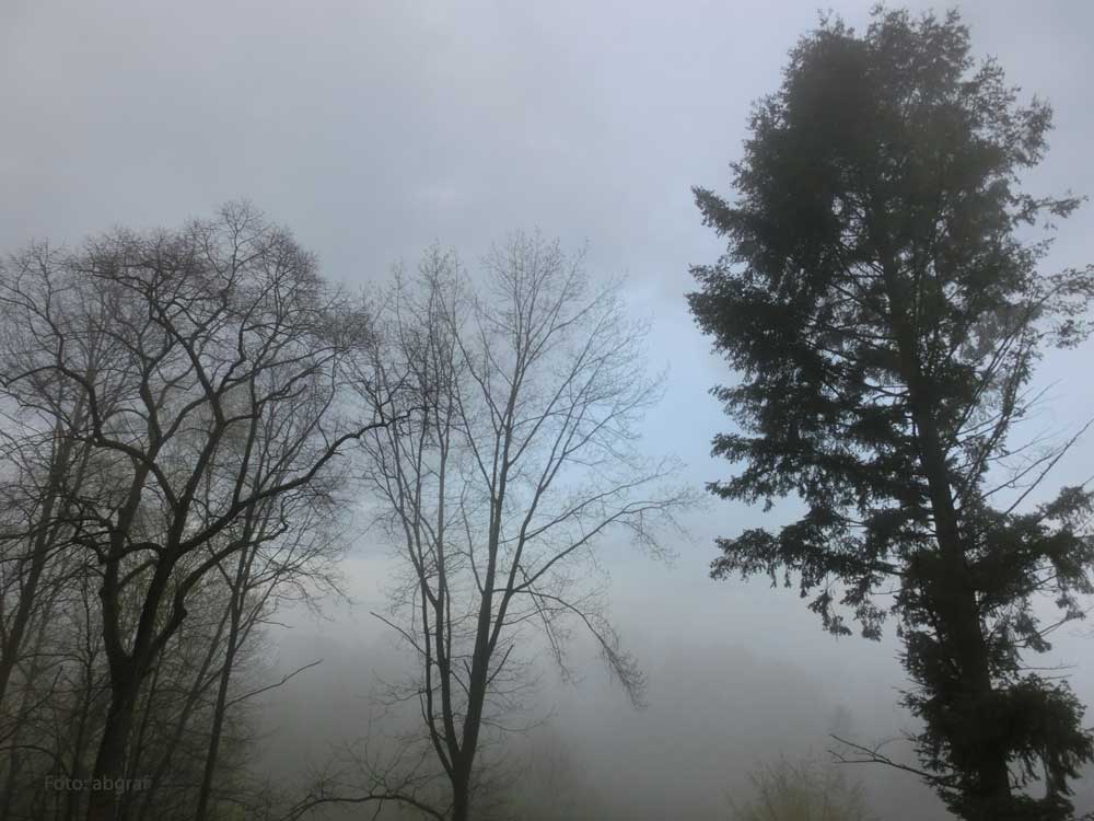 Nebel