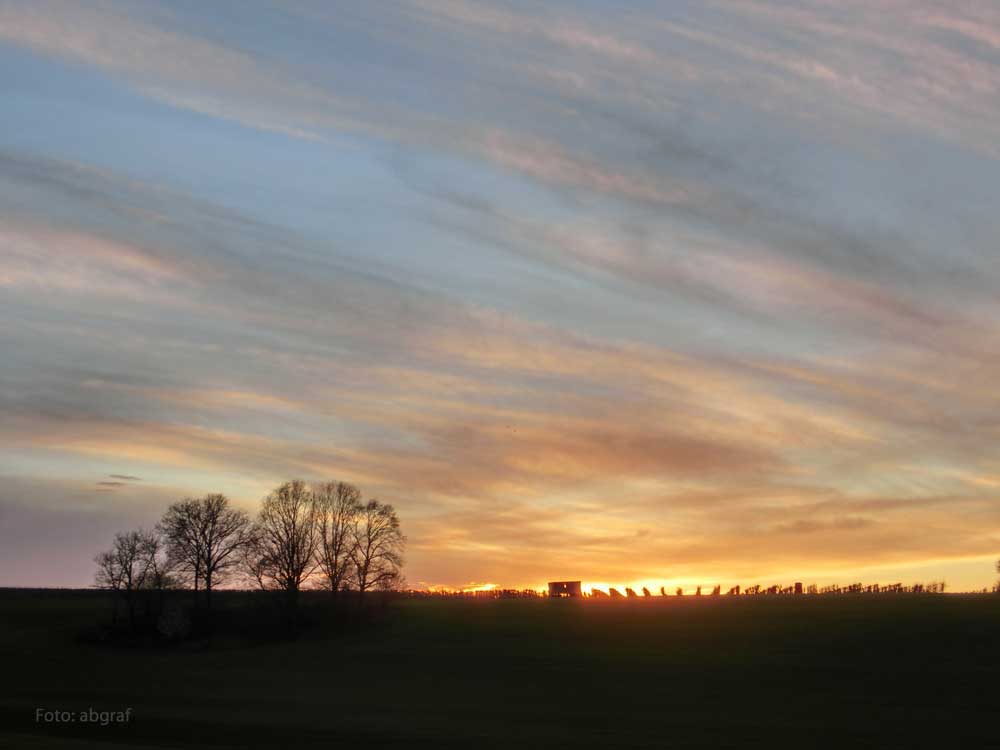 Wagen im Abendrot